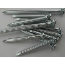 Galvanized Steel Concrete Nail/Steel Nail